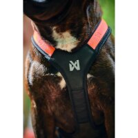 Non-stop Rush Harness türkis 1