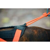Non-stop Rush Harness türkis 4