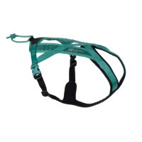 Non-stop Rush Harness türkis 6