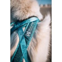 Non-stop Rush Harness türkis 7