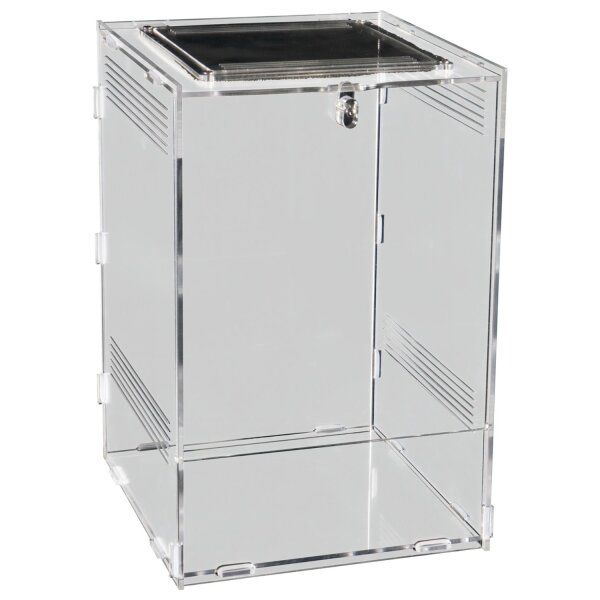 Repto Terra Clear 19,5 x 18,5 x 29 cm