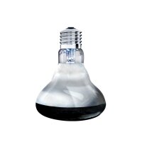 Arcadia Solar Basking Spotlight 100 W