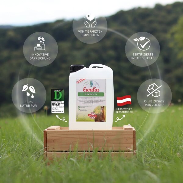 Ewalia Elektrolyt für Pferde 3 l