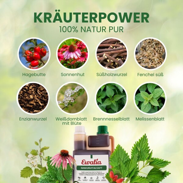 Ewalia Immunvitalsaft für Pferde