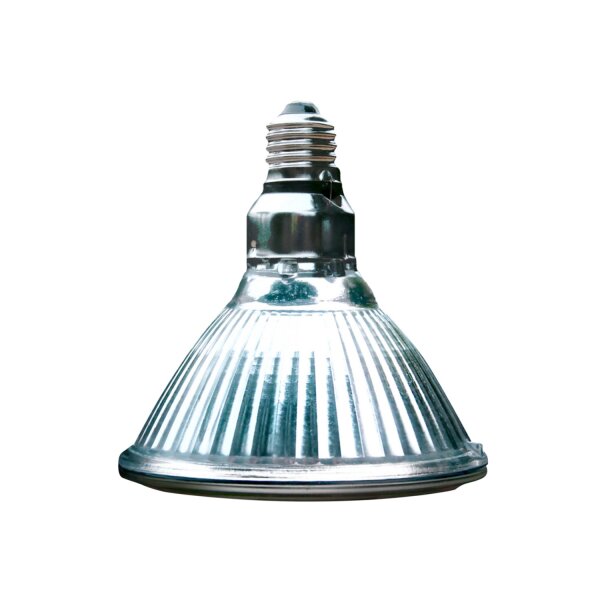 Arcadia Halogen Basking Spot 100 W