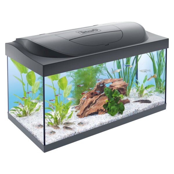 Tetra Starter Line LED schwarz 54 L