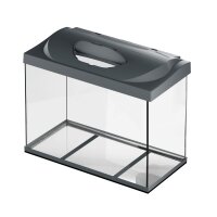 Tetra Starter Line LED schwarz 80 L
