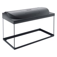 Tetra Starter Line LED schwarz 105 L
