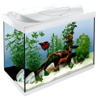 Tetra Starter Line LED weiß 80 L
