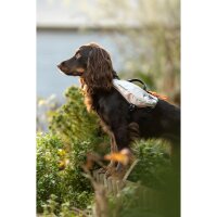 Non-stop Trail Light Hunderucksack