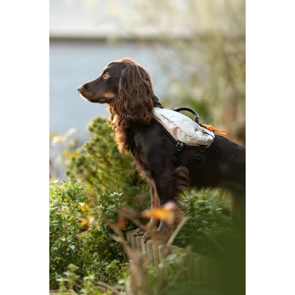 Non-stop Trail Light Hunderucksack XL