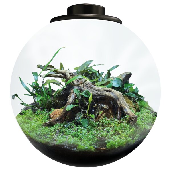 BioArt Bowl 225