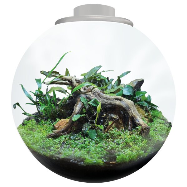 BioArt Bowl 225
