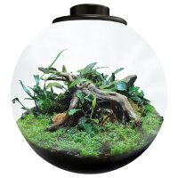 BioArt Bowl 225
