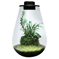 BioArt Drop