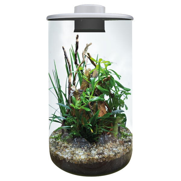 BioArt Cylinder 285