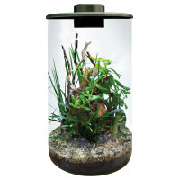 BioArt Cylinder 285