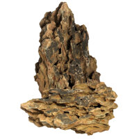 BioArt Dragon Rock