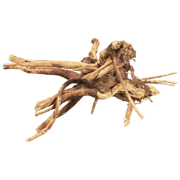 BioArt Spiderwood 10-15 cm