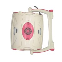 BWT Poolroboter D300 inkl. Caddy *B-Ware*