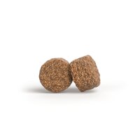 Josera Mother & Puppy Salmon & Rice