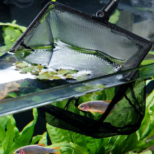 Dennerle Fish Net klein