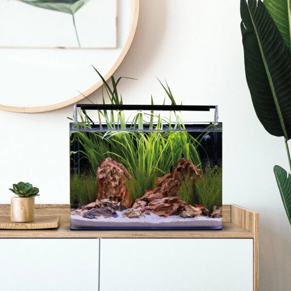 Dennerle Nano Tank Complete
