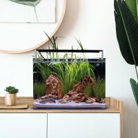 Dennerle Nano Tank Complete