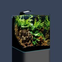 Dennerle Nano Cube Complete 30 Liter *B-Ware*