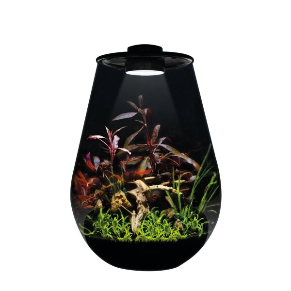 BioArt Drop 345 schwarz