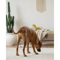 BUDDY. Hundespielzeug aus Leder "Giraffe"