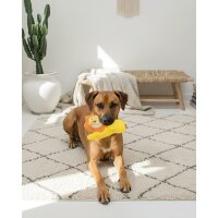 BUDDY. Hundespielzeug aus Leder "Löwe"