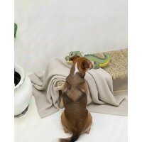 BUDDY. Hundespielzeug aus Leder "Großes Krokodil"