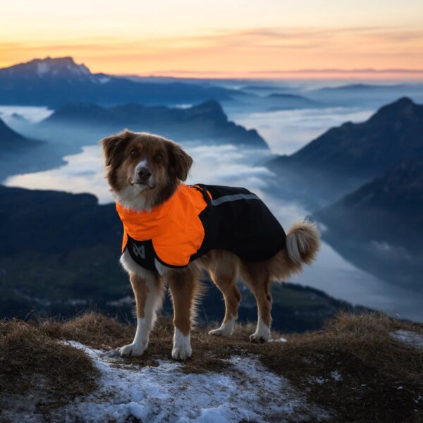 Non-stop Fjord Raincoat 2.0
