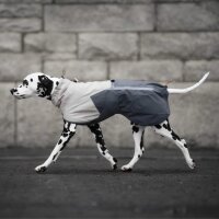 Non-stop Fjord Raincoat 2.0