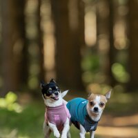 Non-stop Trail quest fleece pullover teal 36