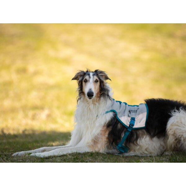 Non-stop Cooling vest