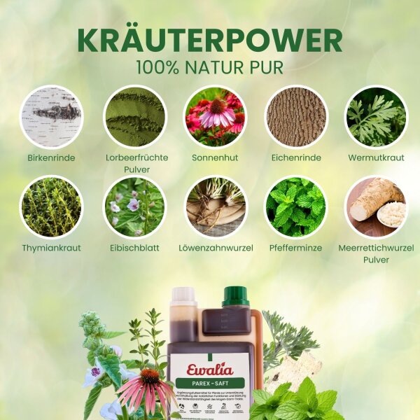 Ewalia Parex-Saft für Pferde