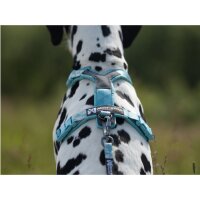Non-stop Trekking Line Harness CLIPN ice blue 6
