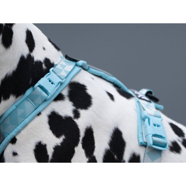 Non-stop Trekking Line Harness CLIPN sand 5