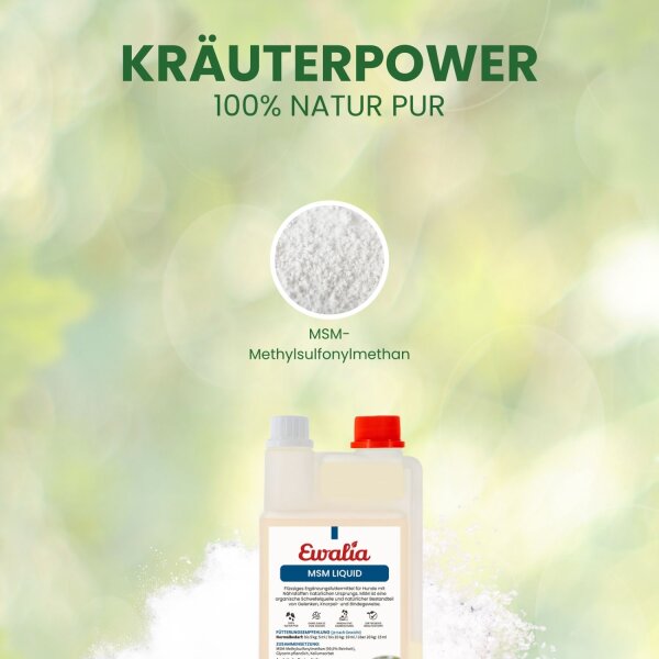 Ewalia MSM Liquid für Pferde