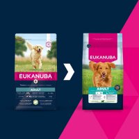 Eukanuba Adult Lamm Large 12 kg