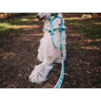 Non-stop Bungee Leine ice blue 2 m