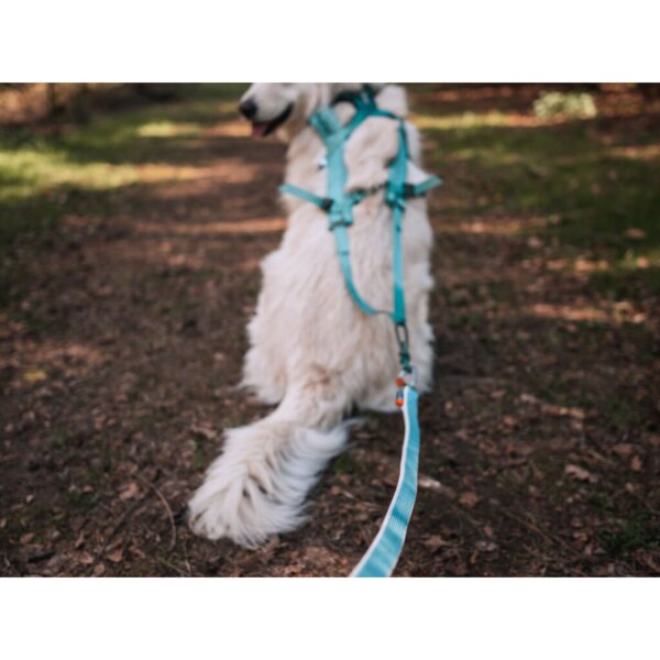 Non-stop Bungee Leine ice blue 2,8 m