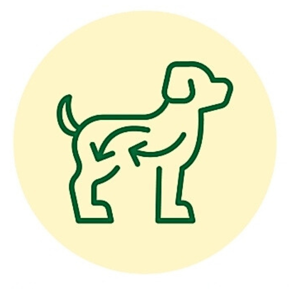 Illustration Leicht verdaulich