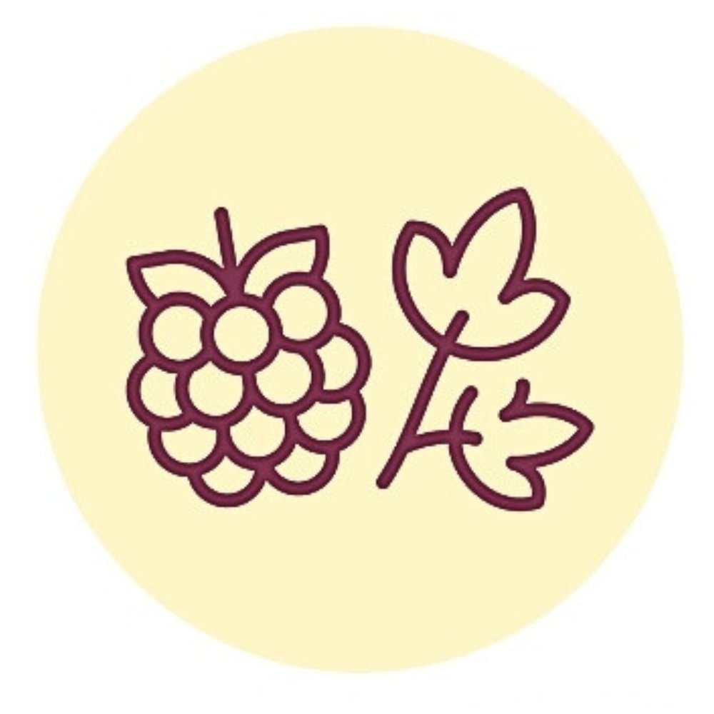 Illustration Kräuter & Früchte