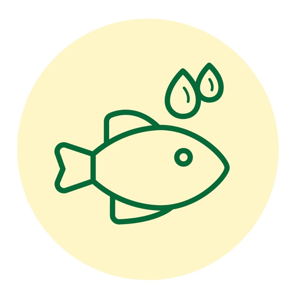 Illustration Omega 3