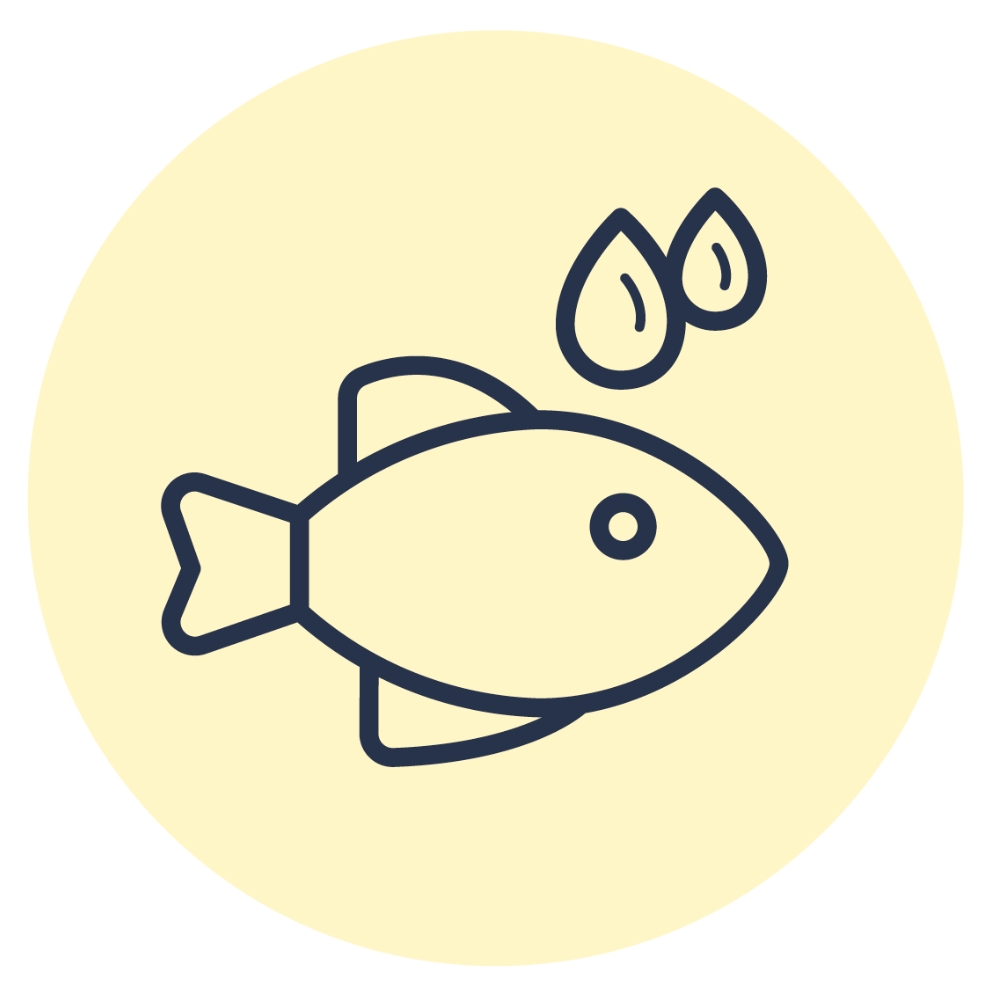 Illustration Vital Plus