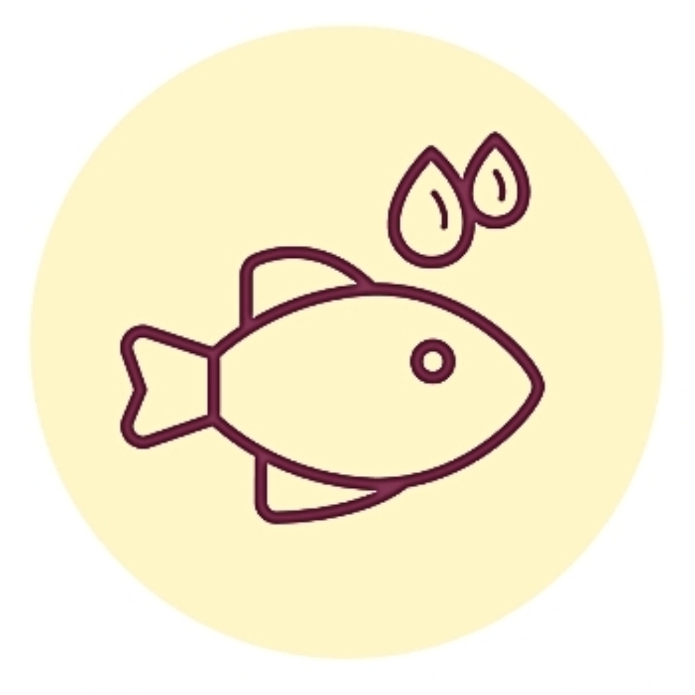 Illustration Omega 3