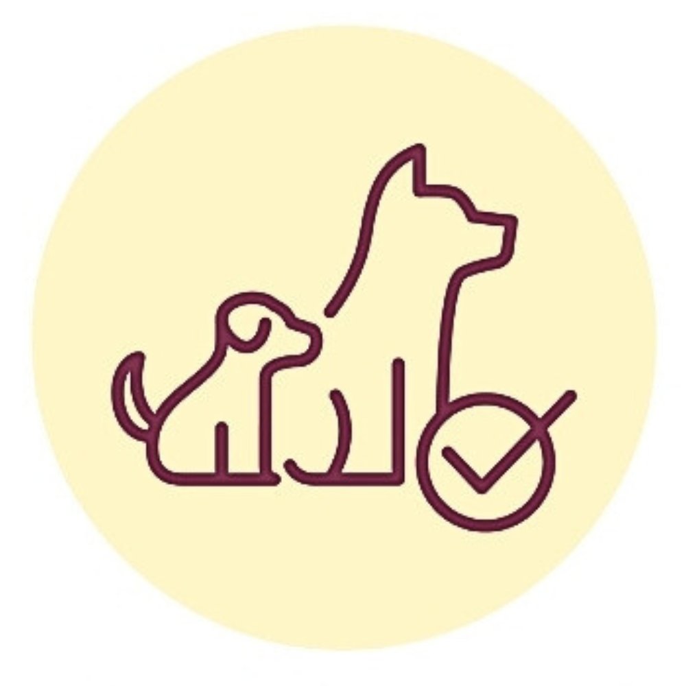 Illustration Optimale Entwicklung